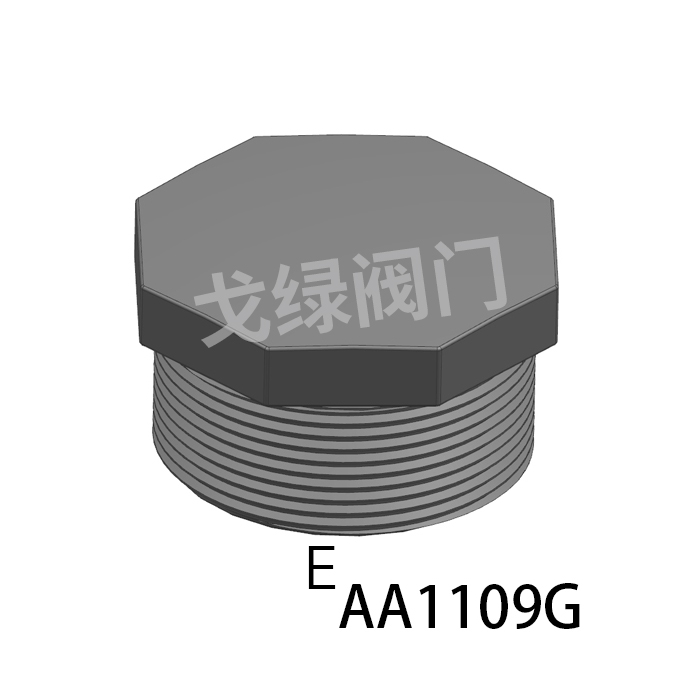 管堵（外柱螺）G